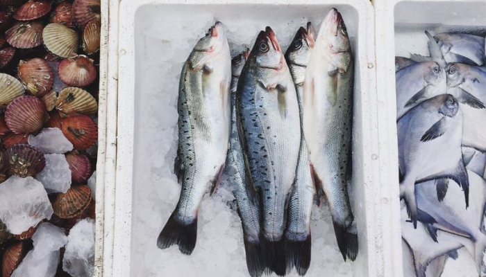 cara mengirim ikan