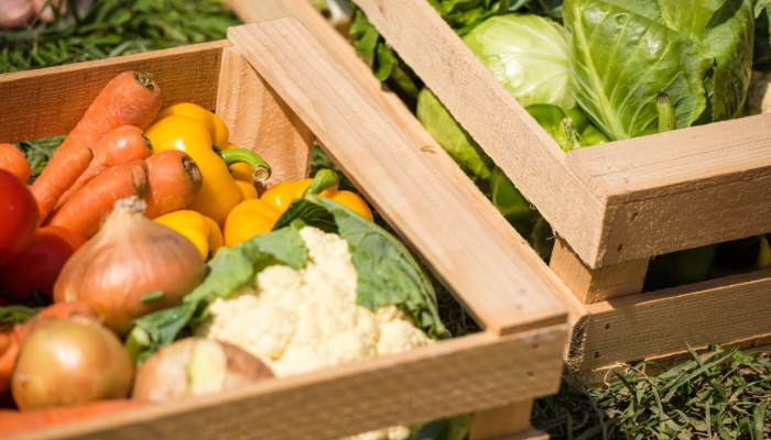 mencegah cargo makanan busuk