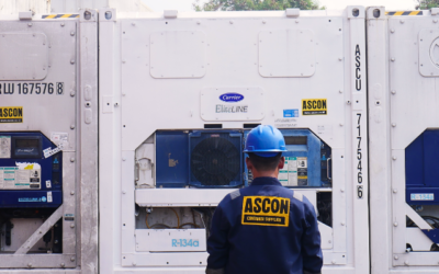 Supplier Reefer Container Indonesia Baru & Second Ukuran Terlengkap