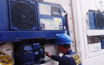 Sewa Reefer Container Bulanan, Solusi Transporter Produk Segar
