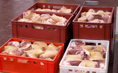 Jasa Sewa Container Pengiriman Makanan Menggunakan Reefers
