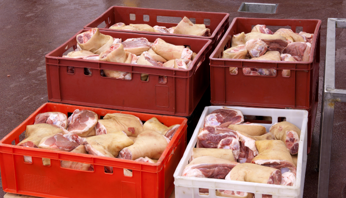 sewa container pengiriman makanan