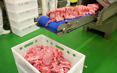 Bagaimana Cara Kerja Reefer Container Dalam Cold Chain Process?