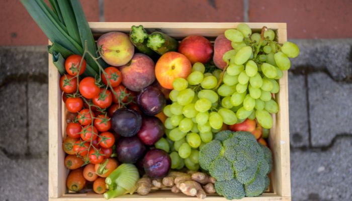 container Pengiriman sayuran