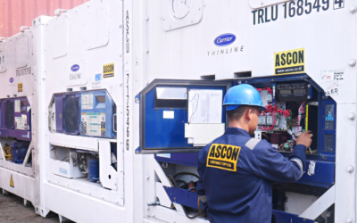 Jasa Sewa Container Pendingin 40 FT High Cube dan 20 FT HC Lengkap