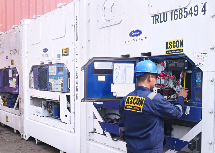 sewa container pendingin 40 ft