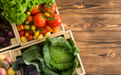 Jual Chiller Container Bekas untuk Kirim Buah dan Sayur Segar