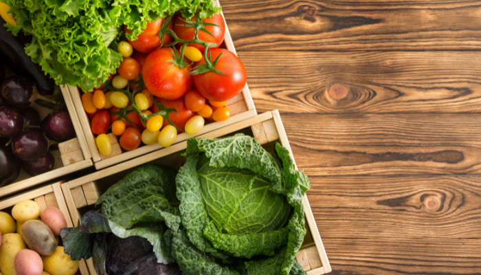 Jual Chiller Container Bekas untuk Kirim Buah dan Sayur Segar