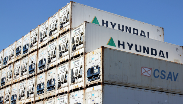 container pendingin 40 feet