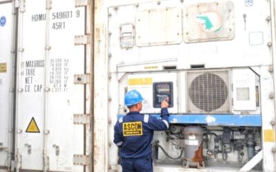 ASCON Jual Container Berpendingin Jakarta Dengan Ukuran Terlengkap!