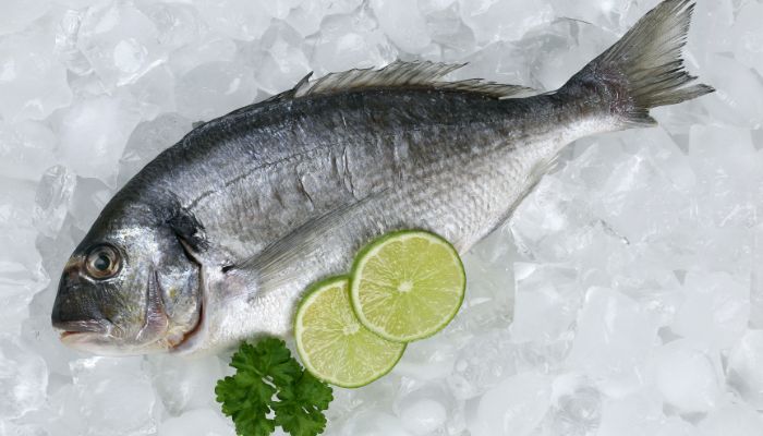 Cara Kirim Ikan Antar Pulau yang Aman dengan Refrigerated Container