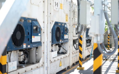 Cek Harga Reefer Container Bekas Ukuran 20 Feet dan 40 Feet Disini!