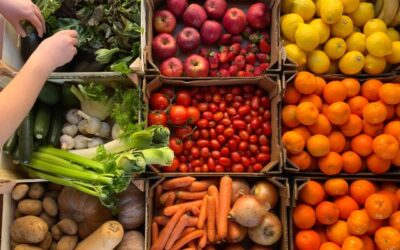 Mengapa Container Pendingin Makanan Penting dalam Industri Logistik