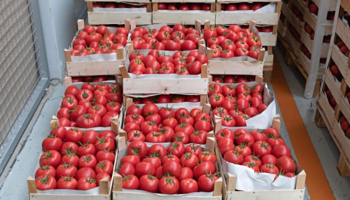 peti kemas berpendingin