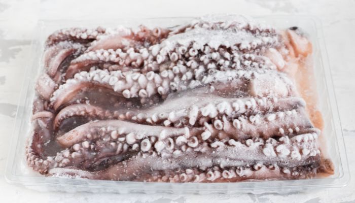 pengiriman cargo dingin