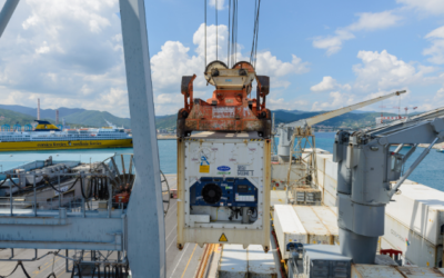 Mengenal 3 Komponen Cold Chain Logistic yang Paling Utama