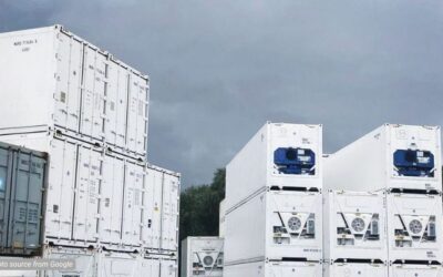 Mau Beli Atau Rental Refrigerated Container Murah?