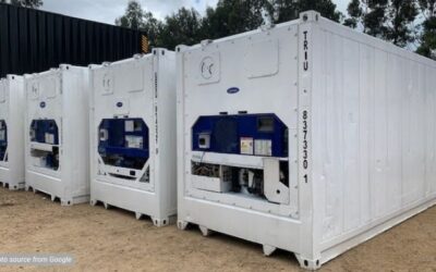 Pusat Sewa Reefer Container Daikin, Carrier, Thermoking dan Lainnya