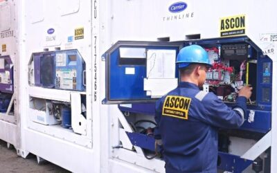 Pusat Jual dan Sewa Container Pendingin 20 Feet dan 40 HC