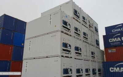 Sebaiknya Pilih Reefer Container Bekas atau Brand New?
