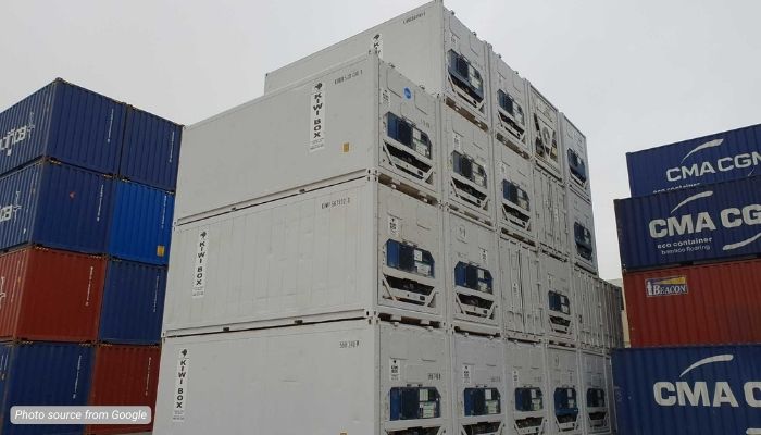 reefer container bekas