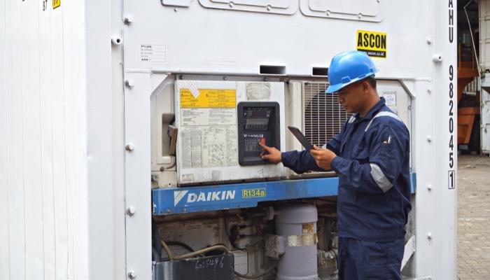 logistik rantai dingin