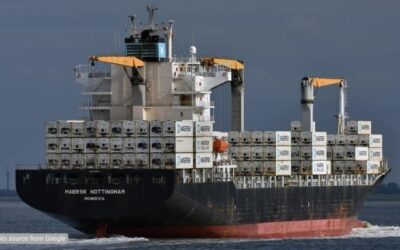 Sewa Reefer Container 40 feet untuk Perusahaan Logistik Forwading