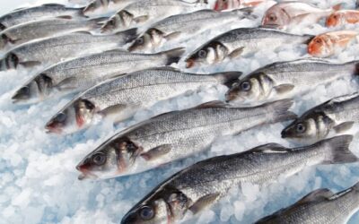 Tips Untuk Pengiriman Makanan Laut Dengan Aman   