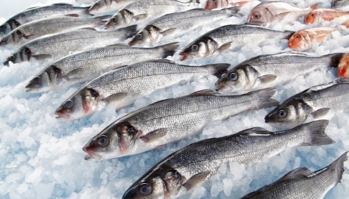 pengiriman makanan laut