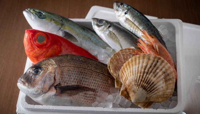 transportasi rantai dingin