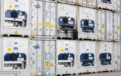 Cold Storage Dari Reefer Container Untuk Industri Makanan