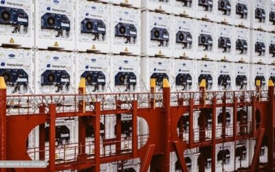 Harga Sewa Container Pendingin Murah Jadi Opsi Populer Pebisnis