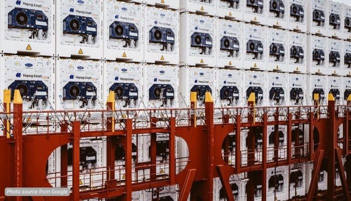 harga sewa container pendingin