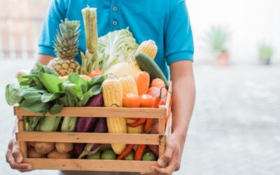 Pentingnya Sistem Cold Chain untuk Industri di Indonesia