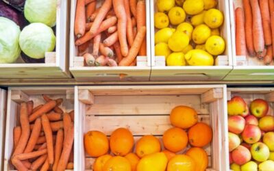 6 Contoh Barang Yang Membutuhkan Container Pendingin Baru
