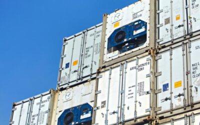 ASCON, Spesialis Cold Storage Container Reefer Terpercaya