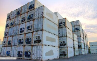 Perhatikan Tips Berikut Sebelum Membeli Reefer Container Murah