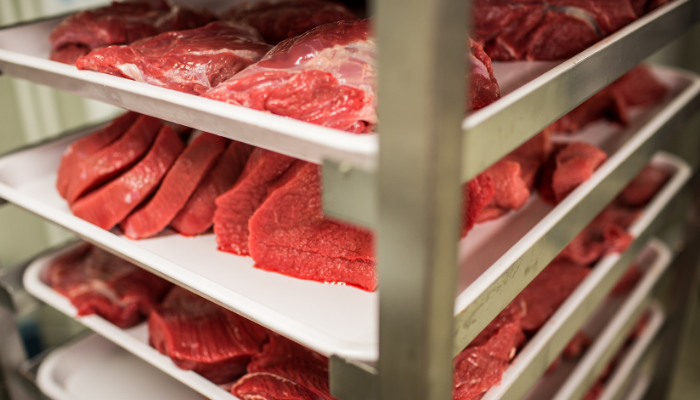 logistik rantai dingin