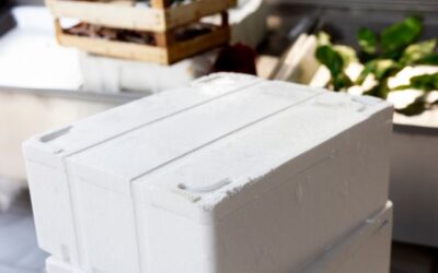 8 Panduan Penyimpanan Container Reefer untuk Pengiriman yang Aman