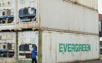 Mencari Rental Reefer Container Bulanan dengan Harga Murah?   