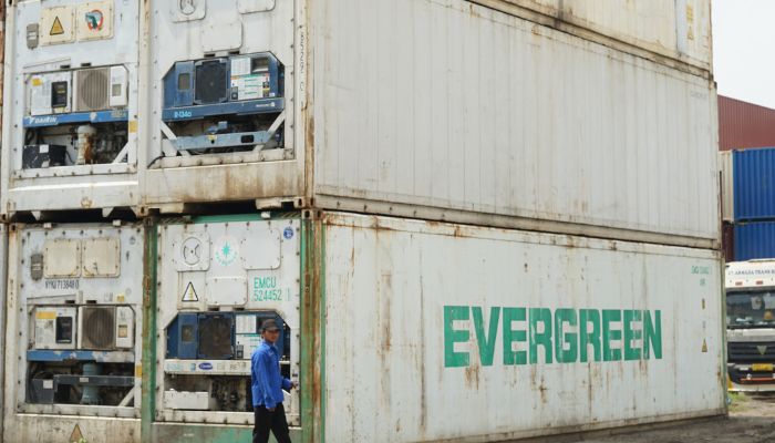 rental reefer container bulanan