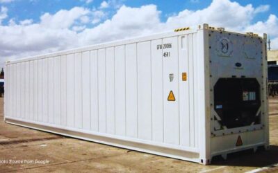 Tips Memilih Sewa Container Reefer yang Tepat untuk Bisnis Anda