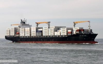 Jenis Container untuk Cold Chain yang Tepat dalam Bisnis Logistik Anda