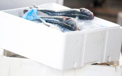 Jual Container Pendingin Ikan untuk Mendukung Ekspor Impor yang Aman