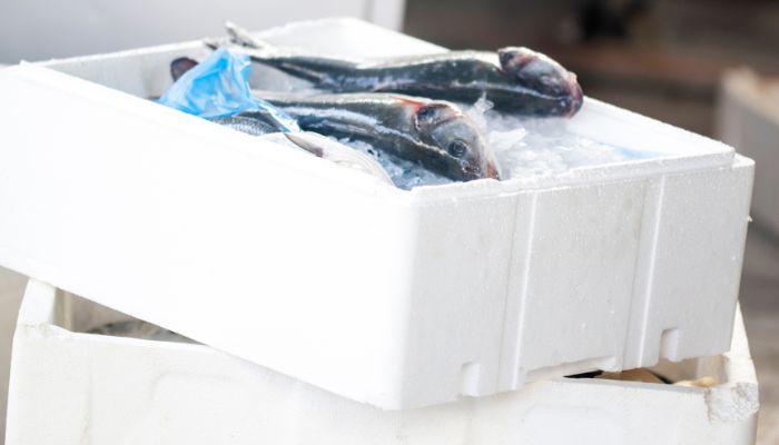 jual container pendingin ikan