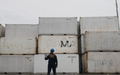 Manfaat Reefer Container dalam Proses Pengiriman di Industri Rantai Dingin