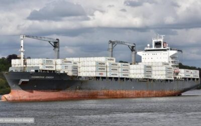 Meningkatkan Efisiensi Logistik dengan Reefer Container di Industri Cold Chain