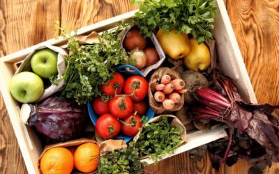 Reefer Container, Solusi Optimal untuk Pengiriman Bahan Makanan Segar