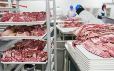 Reefer Container sebagai Solusi Logistik Terbaik untuk Bisnis Cold Chain