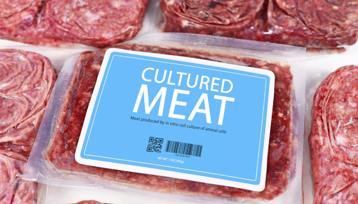 mengirim barang mudah rusak